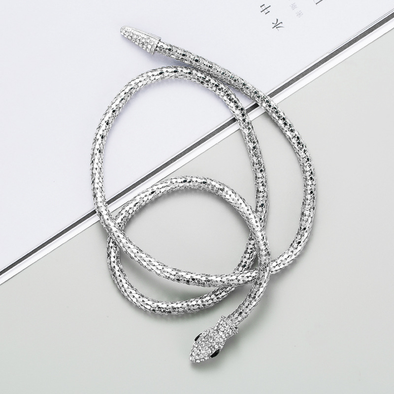 Creative Simple Snake-shaped Hollow Chain Necklace display picture 7