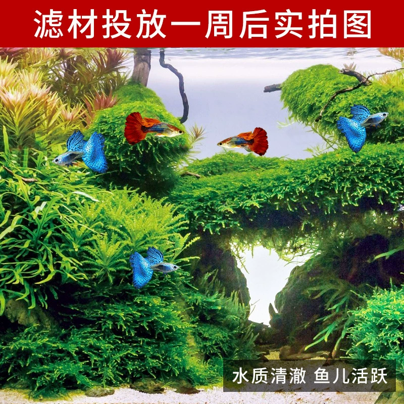 Материал фильтра аквариума дальнего инфракрасного диапазона бактерии Дом экологический материал фильтра бака черепахи материал фильтра аквариума керамическое кольцо Биохимический шар