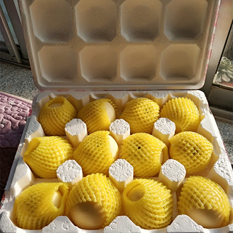 5d84b10a5e71af124c9bd2cc6f75e2