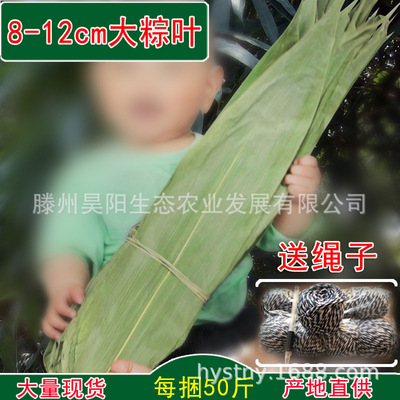 干粽子叶批发粽叶新粽叶子粽子叶粽叶批发干竹叶干粽叶批发麻竹叶|ms