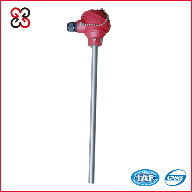 厂家直销鑫国集团WRN-130K型E型热电偶无固定装置定制热电偶