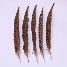 批发30-35cm山鸡尾饰品配件羽毛DIY包装舞台表演装饰专用厂家直销