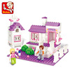 Fuchsia constructor, sweet hut, toy, Birthday gift