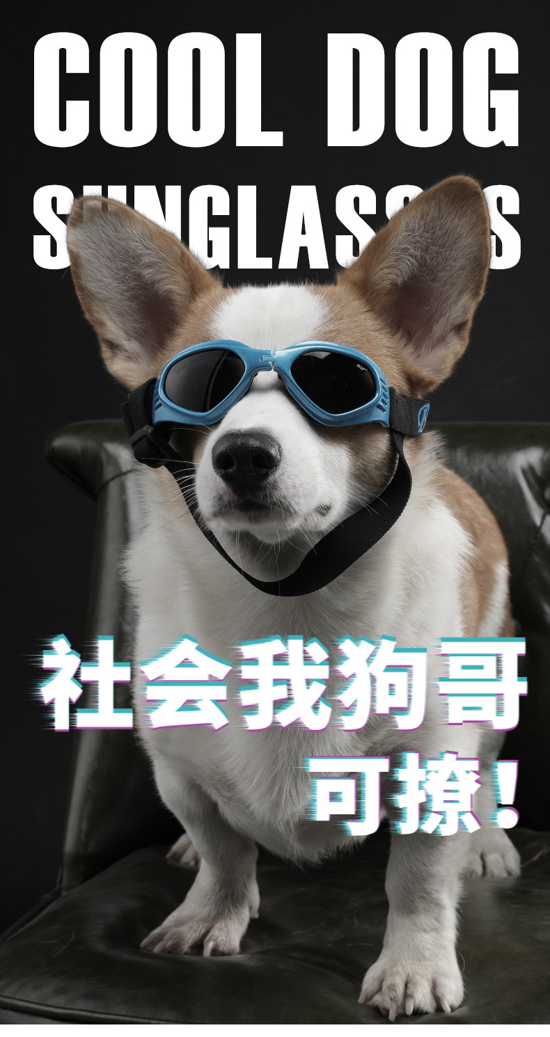 狗狗防风镜