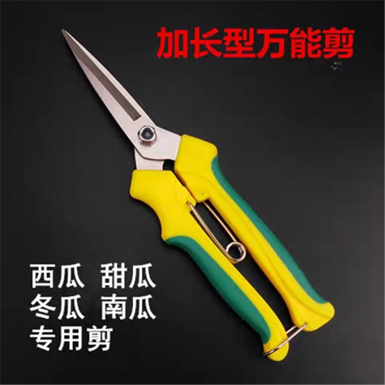 专业不锈钢尖头果园摘果剪 采摘水果葡萄剪刀 修枝果枝树枝剪