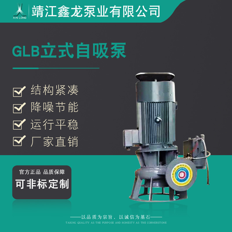 鑫龙GLB系列立式不锈合金自控自吸泵 厂家可定制