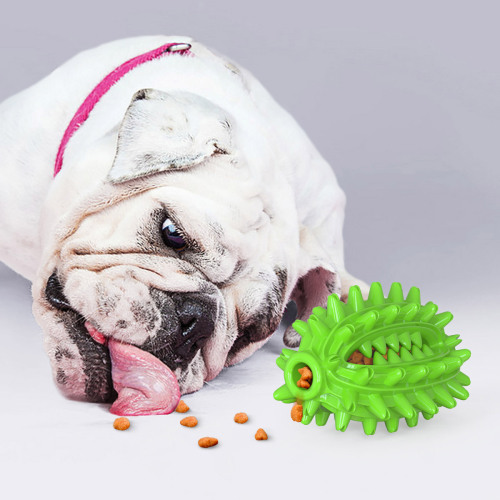 New Amazon Hot Sale Dog Toy Cactus Molar Stick Toothbrush Dog Bite Toy Pet Products Factory