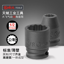 ���x�M��12.5mm���w���÷����Ͳ�^1/2����늄�12�Ǳ��ڶ໨����