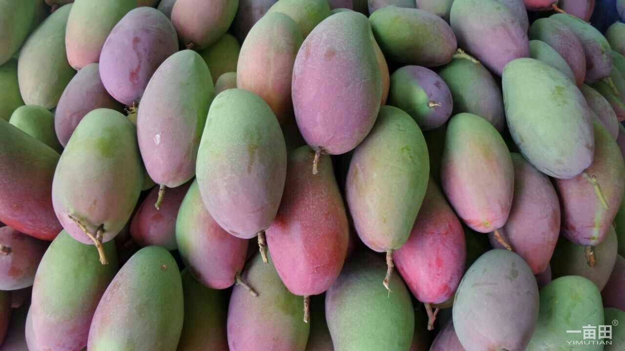 ffb026b98e18b060247a38c258d3b1