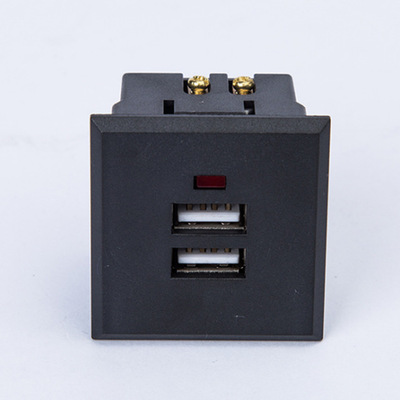 卡式嵌入式二孔插座 青磷铜阻燃PC壳体 100-240V电源插座模块|ms
