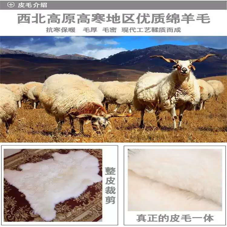 微信图片_20200904223834.jpg