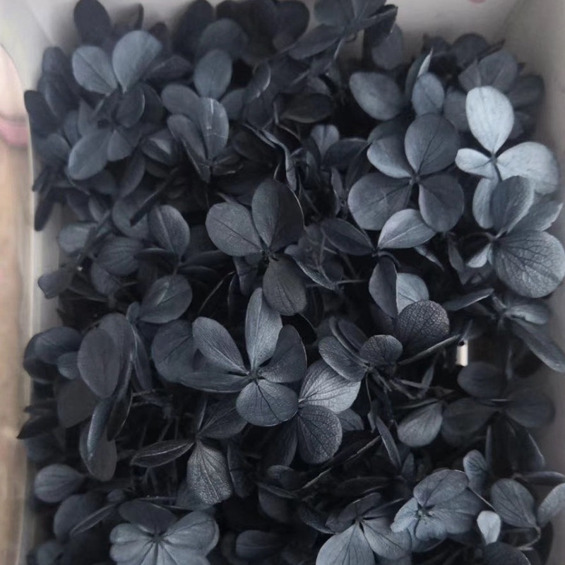 微信图片_20200421181944