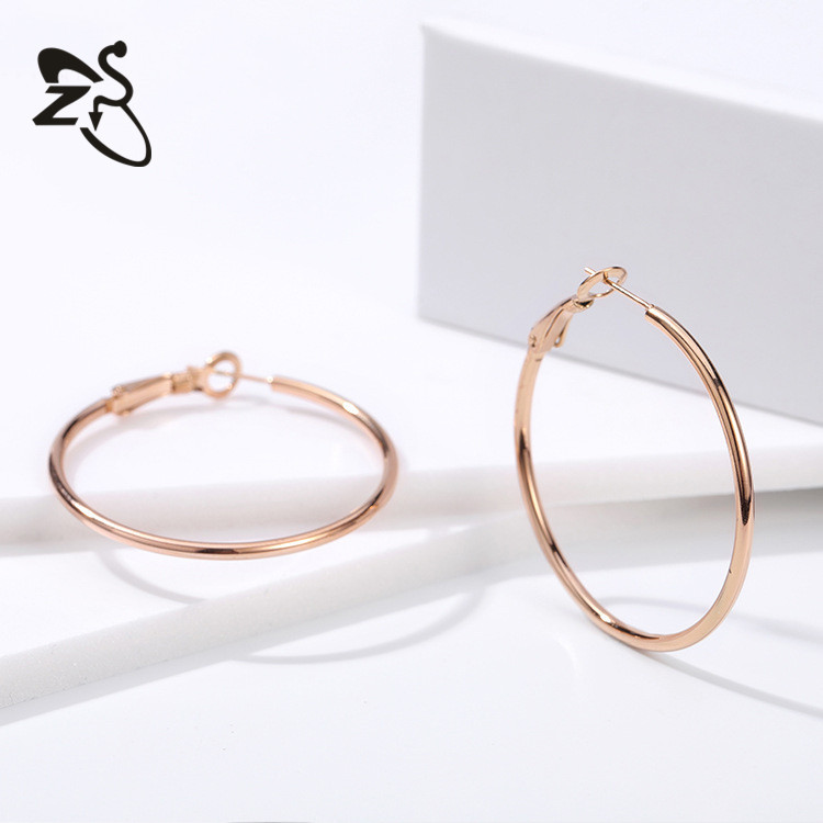 European American Elegant Face-Slimming Metal Earrings Exaggerated Large Hoop Earrings Titanium Steel Earrings Wholesale detail image 12
