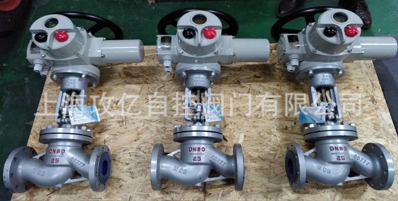 DZW电动阀门35.JPG