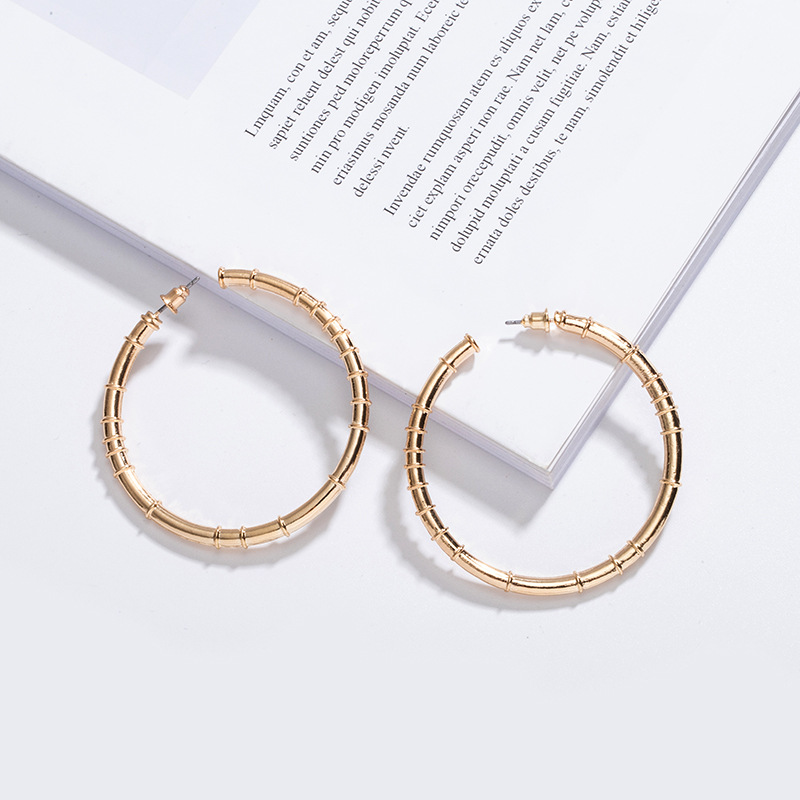 New Trendy Fashion Exaggerated Circle Earrings display picture 5