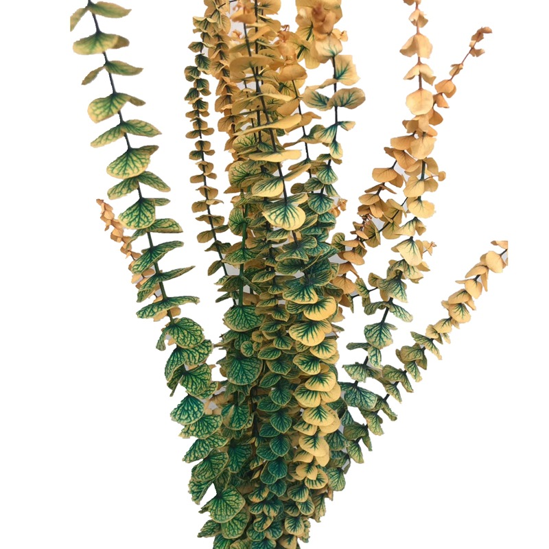 微信图片_20200408215933