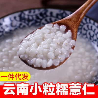新货云南墨江糯薏米 农家薏苡仁原产地五谷杂粮批发代发|ms