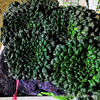Huayu Wujian vegetable seed manufacturer wholesale vegetable garden cold -resistant and wintering black heart black cabbage seed seeds are easy to plant vegetables 孑