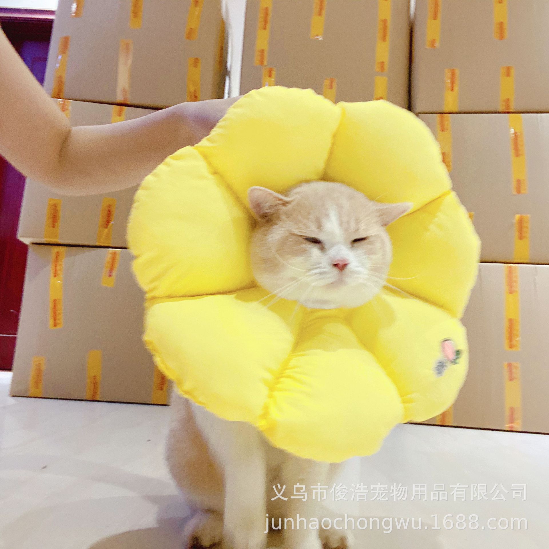 E2D3238458E5CA5A972228857951B2