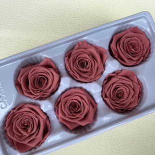 ��A��5.5-6cm�������x������õ�� ���r���Y����� �������˹��ͶY