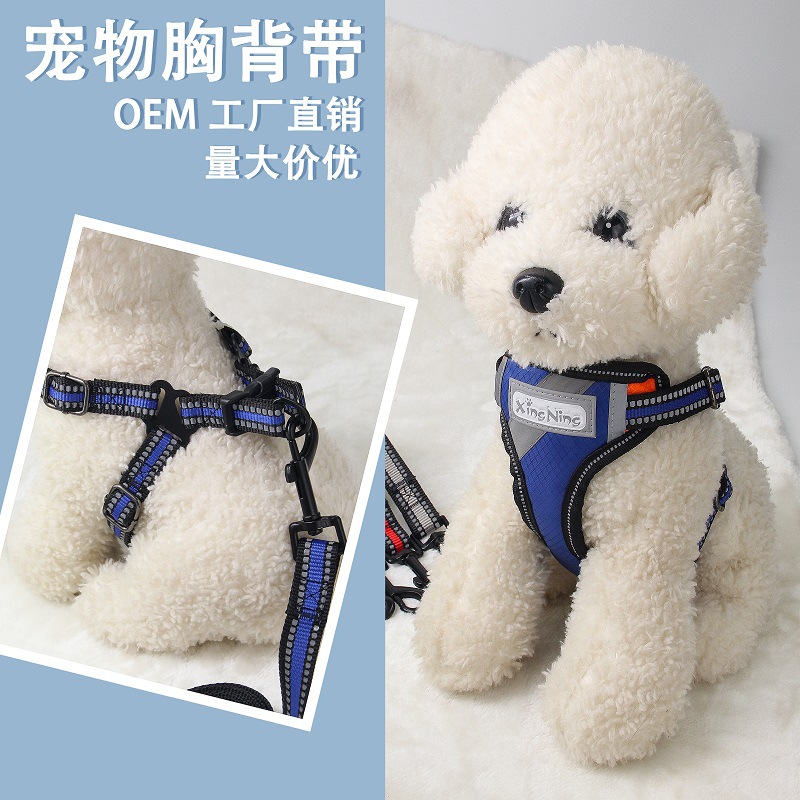 微信图片_20201005173759