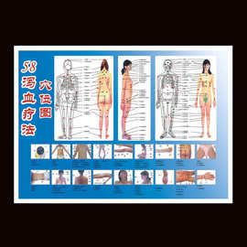 泻血穴位图泄血疗法参考图 放血图 采血图经络图