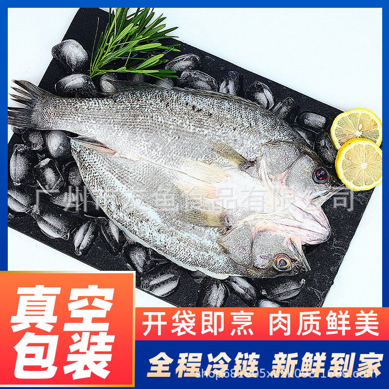 冷冻开背海鲈鱼全规格 批发真空包装清蒸鲈鱼香煎鲈鱼烤鱼20斤/箱