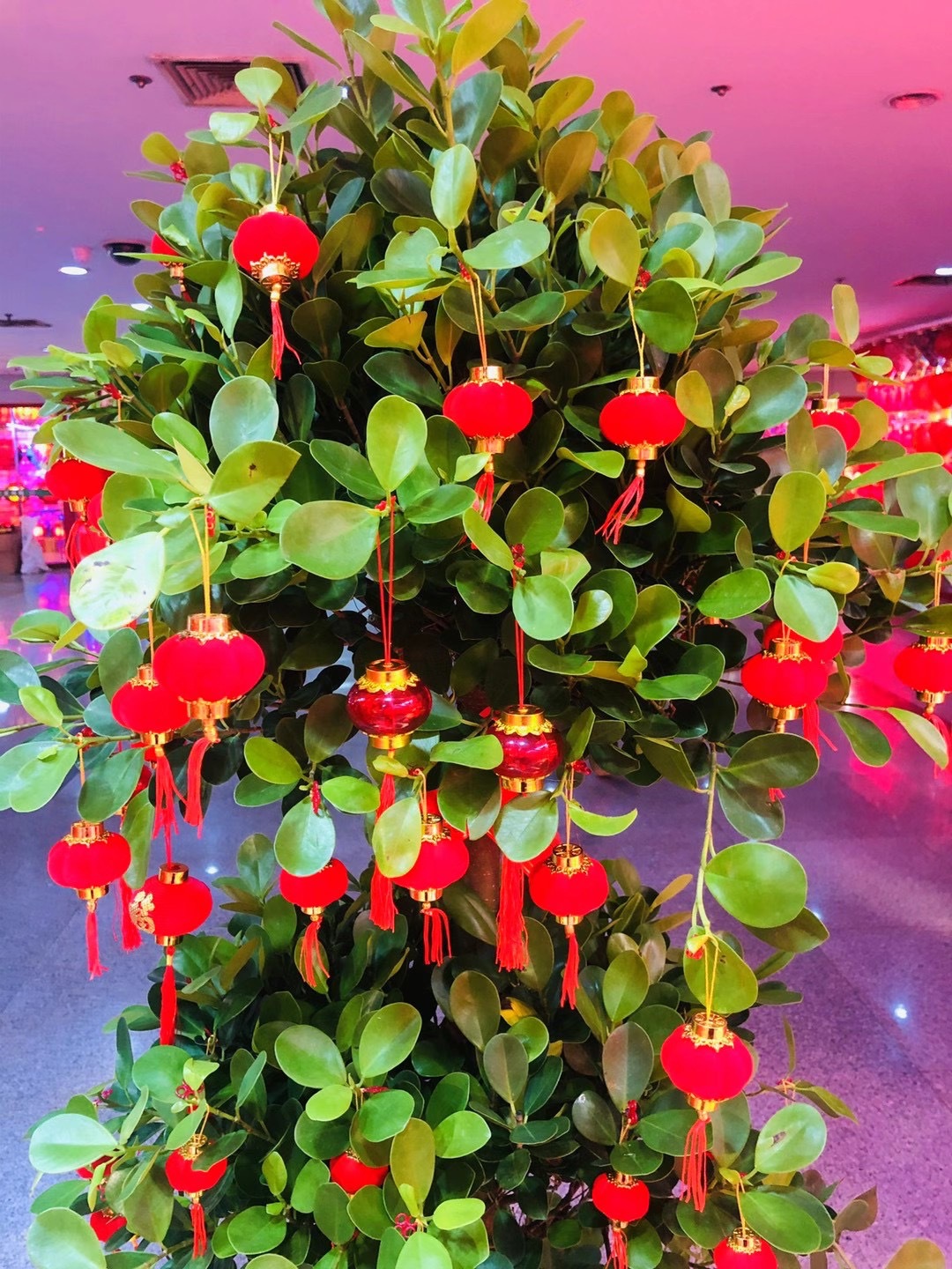 2020 11.20号连串3