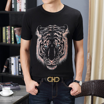 厂家直销2020秋季韩版时尚休闲男式针织衫套头T恤圆领修身短袖男