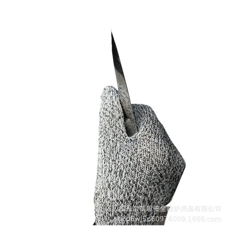 IMG_20191221_130328_副本_副本