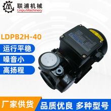 洛凯 睿嘉 LDPB2H-40 线切割水泵 小机床水泵 小机床油泵