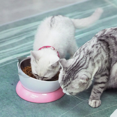 猫碗保护颈椎猫咪单碗食盆喝水碗用品猫粮宠物不锈钢狗碗喂食狗盆
