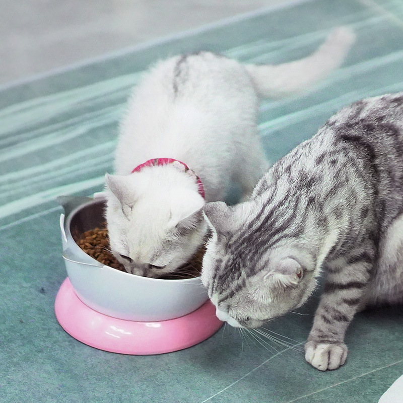 猫碗保护颈椎猫咪单碗食盆喝水碗用品猫粮宠物不锈钢狗碗喂食狗盆|ms