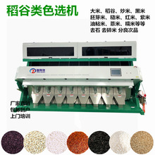 厂家直销大米分色机大米色选机稻谷筛选机去石浮白水黄鲜米胚芽米