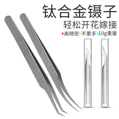 Factory direct supply, exquisite craftsmanship, high-precision eyelash curler with stylish gold feather dolphin design, titanium alloy tweezers