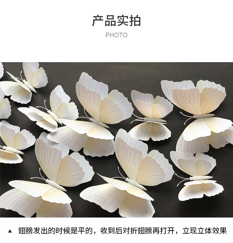 蝴蝶墙面装饰.jpg
