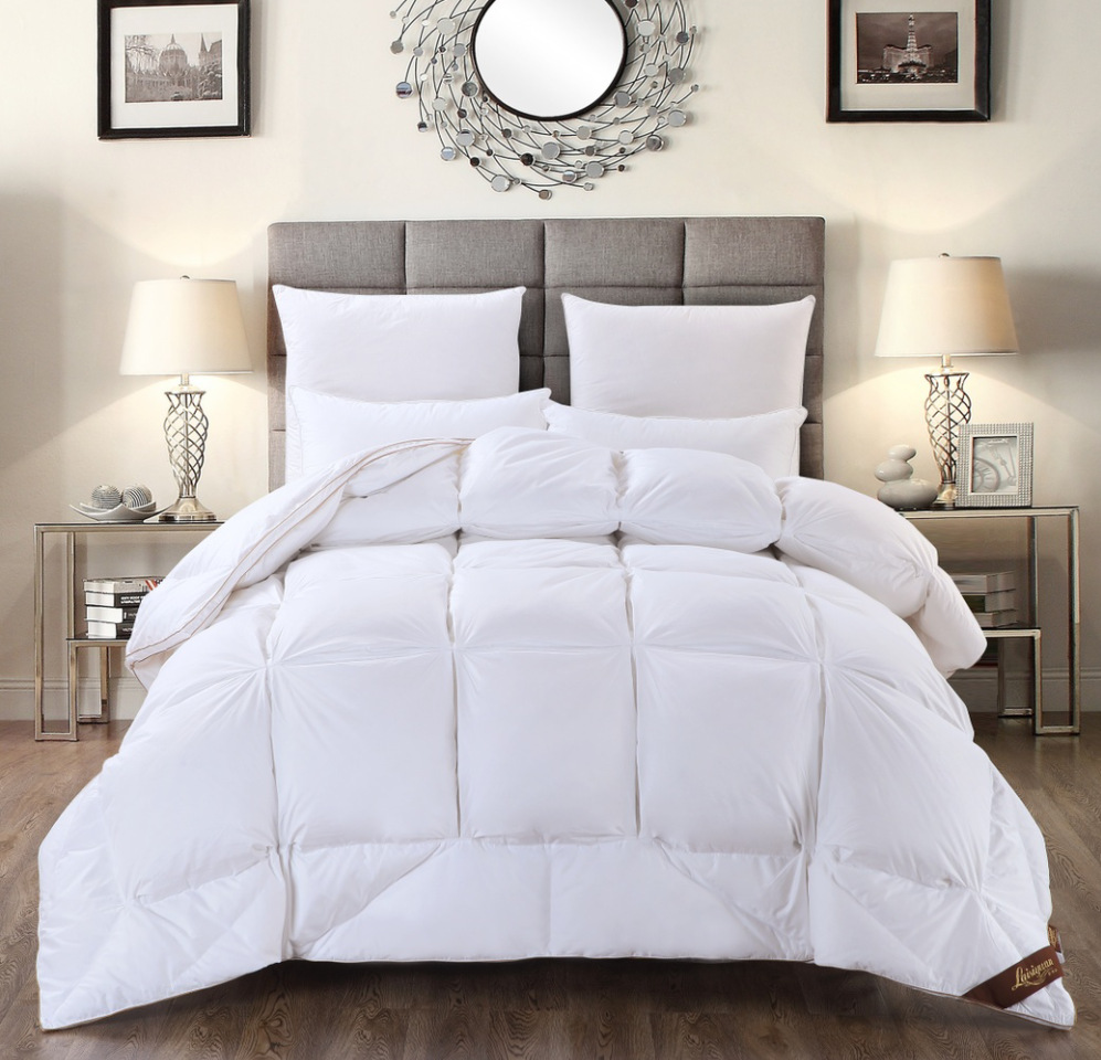 Down The quilt core Five-star hotel 95 White Goose Down Single people were thickening keep warm Double Winter quilt