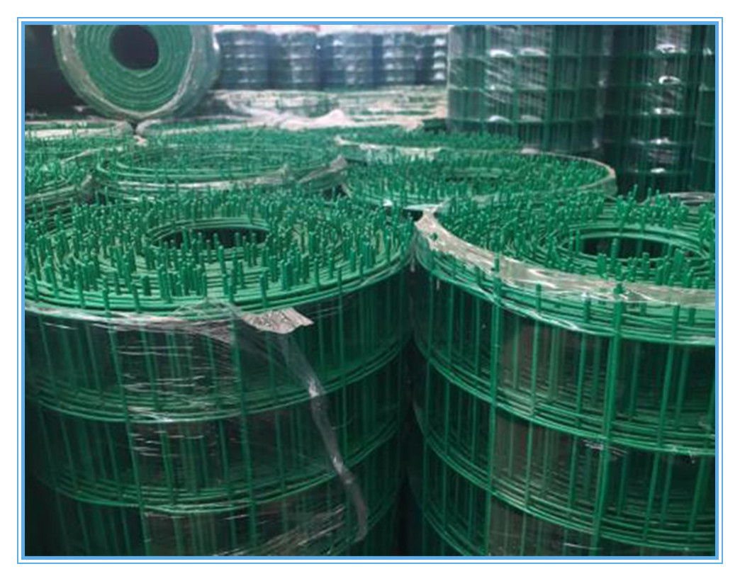 防护小区养殖围栏网浸塑铁丝网围栏养鸡鸭荷兰网