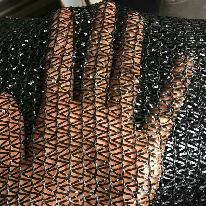 3abd0dfd-c1bf-4f62-8050-1a6ec6