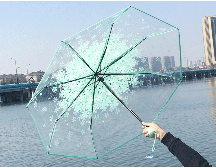 10981941969_2119238038