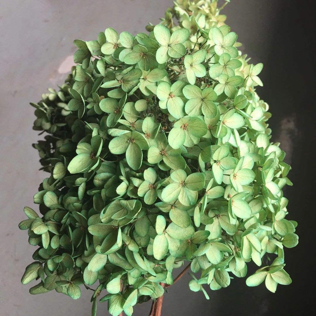 微信图片_20201018153324