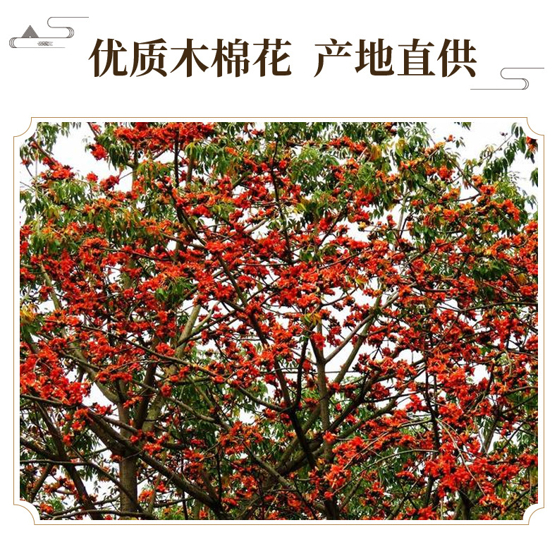 Dried Kapok Flower Mu Mian Hua Whole Blossoms Traditional Herbal Ingredient 500g key features