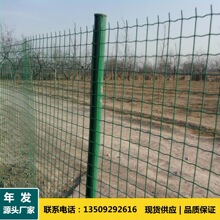 �V����l���l���m�W �Bֳ���F�z�W Ӳ�ܺ��m�W ��ɽȦ�ط��o�ھW