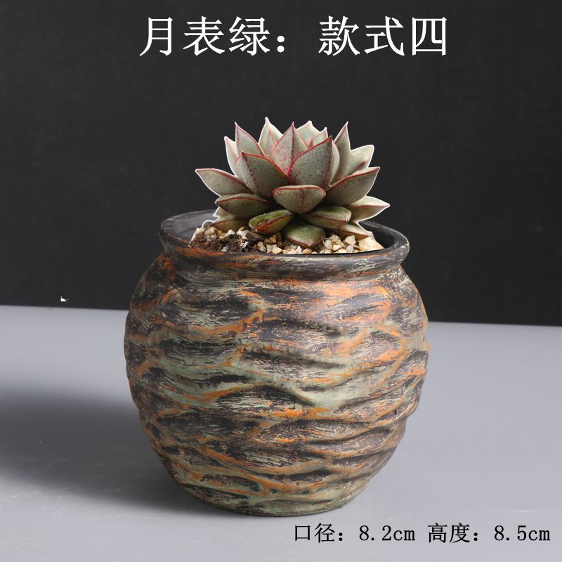 月表绿款式四