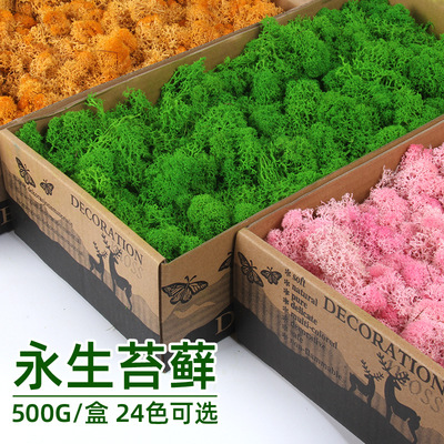 永生苔藓植物墙 永生花DIY礼盒配材婚庆公司景观微装仿真绿植批发