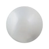P2 white