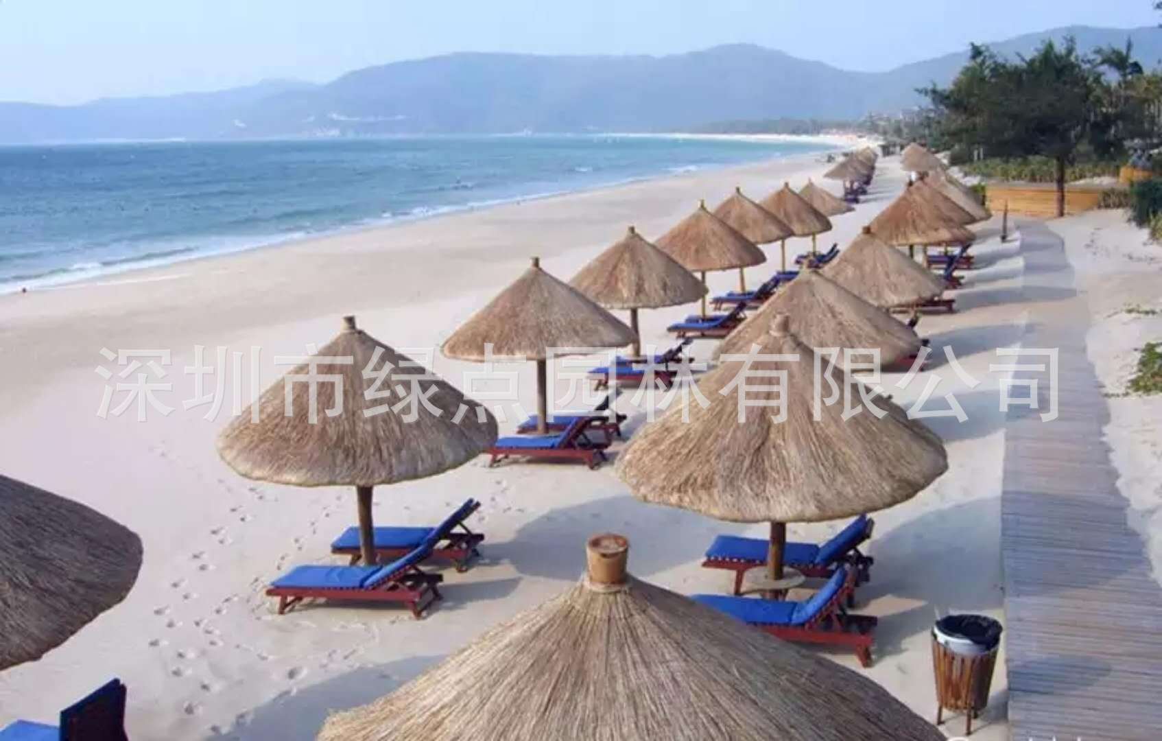 黄茅草屋顶 (29)