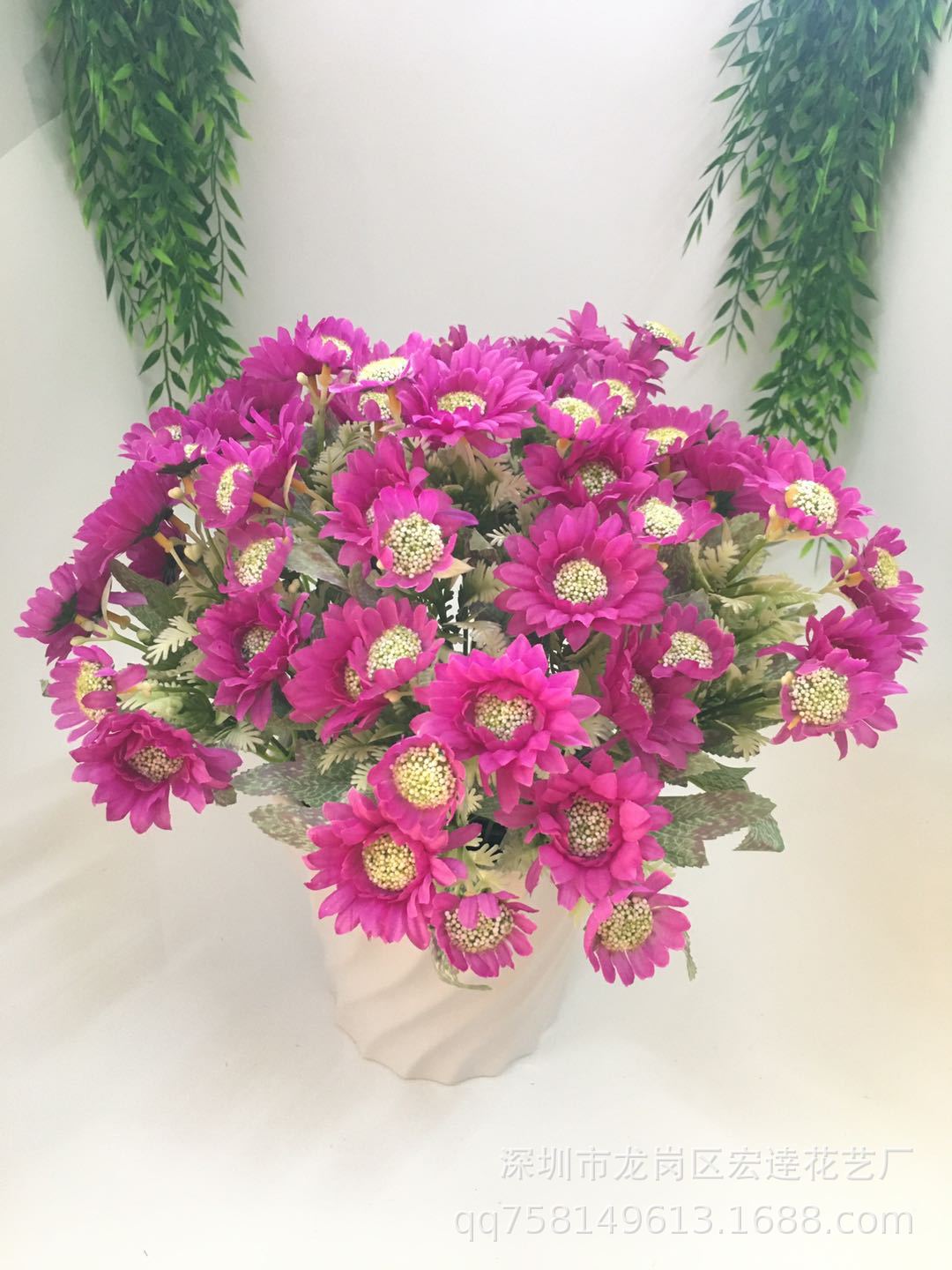 5头10朵路边菊 (6)