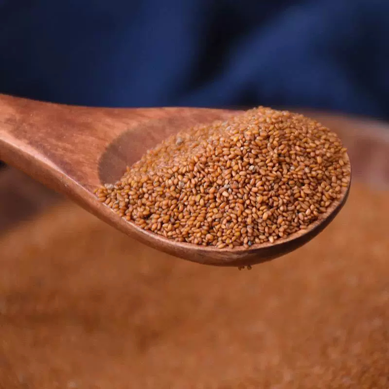 产地直供大货葶苈子中药材葶粒子