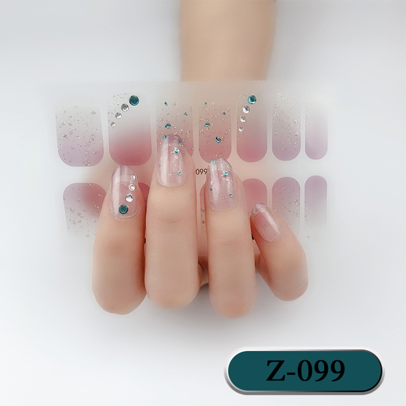 Z099